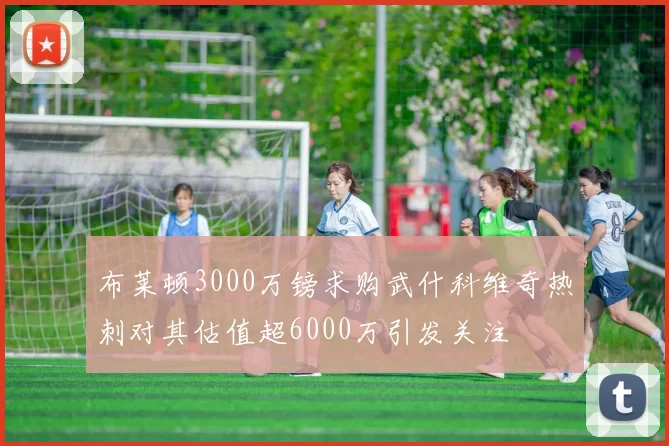 布莱顿3000万镑求购武什科维奇热刺对其估值超6000万引发关注